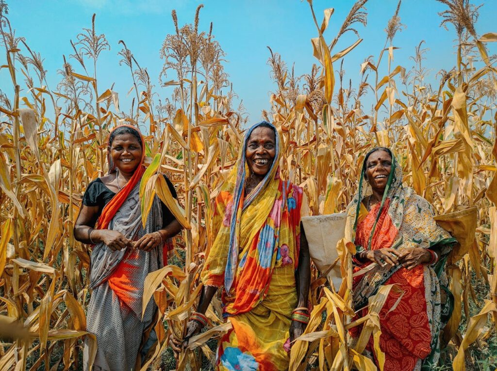 Happy women in vibrant saris harvesting corn in rural Odisha, India.