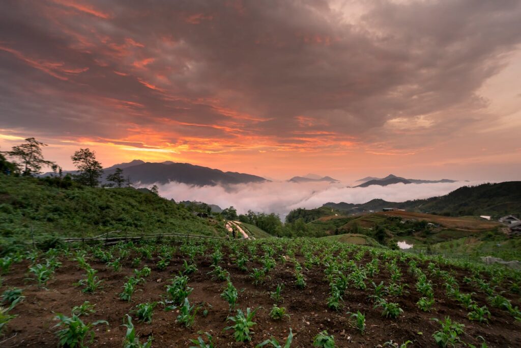 Stunning sunrise over a verdant mountain farm landscape with vibrant sky and rolling hills.